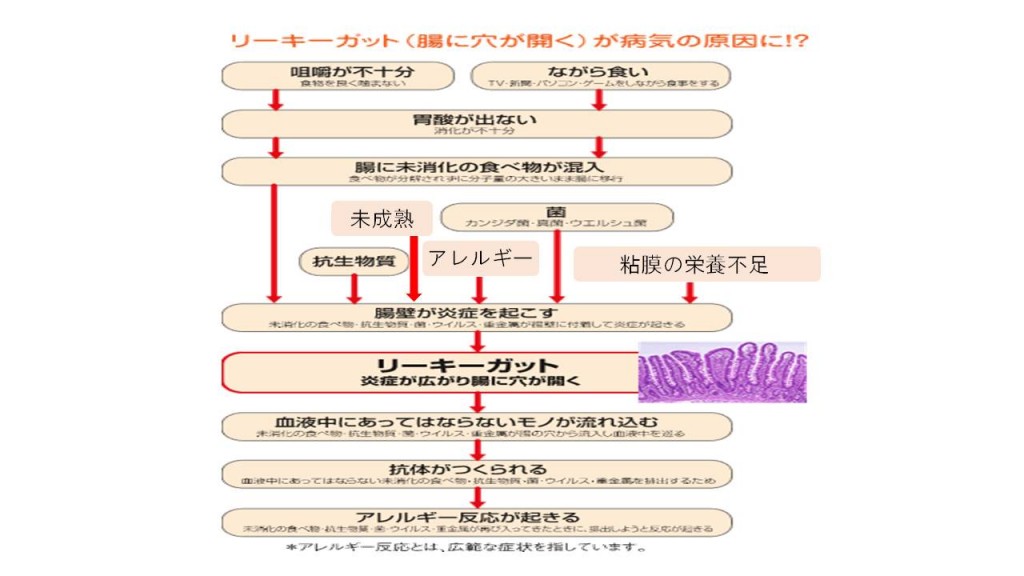 スライド15