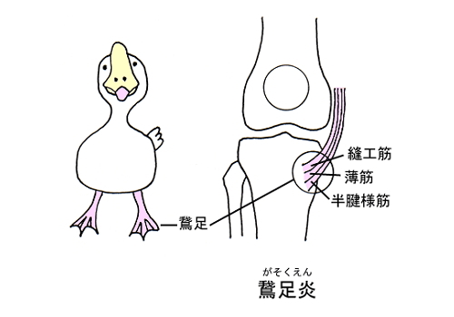 ãéµè¶³ãã®ç»åæ¤ç´¢çµæ