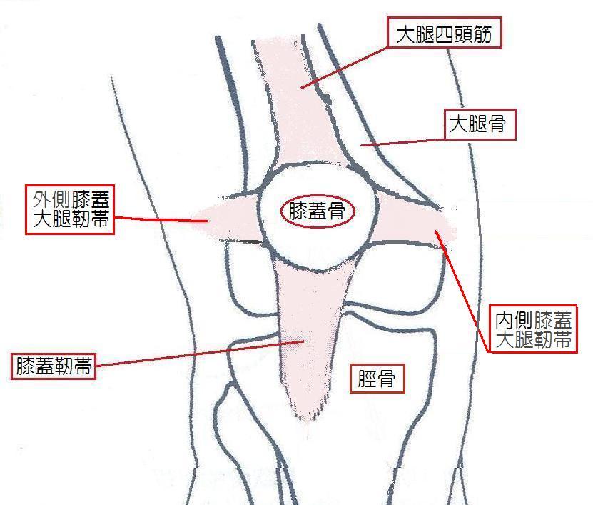 膝 の 皿 ひび 症状